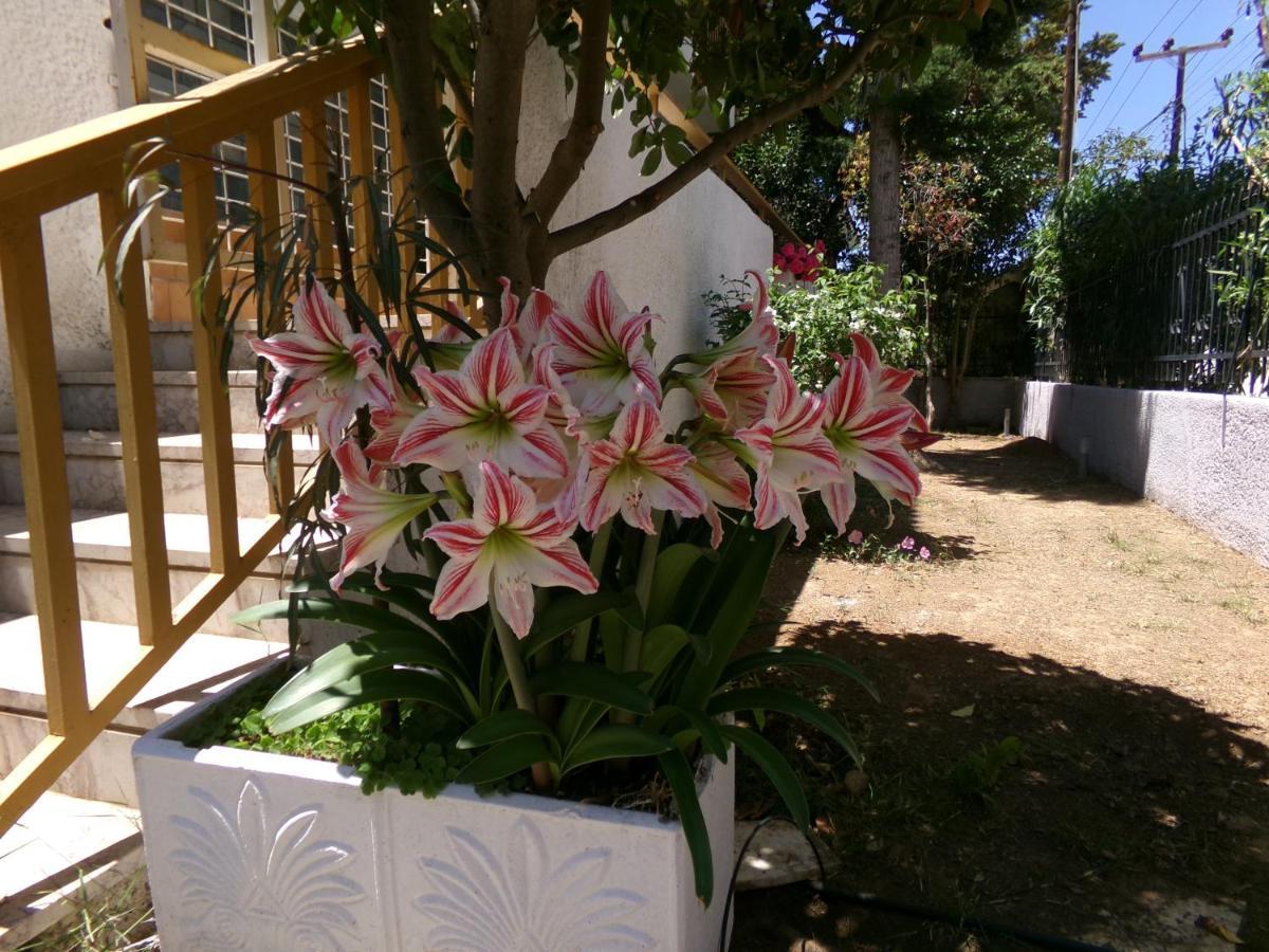 Kavouri Beach House Just 6 Minutes Walk To Kavouri Beach Villa Atene Esterno foto