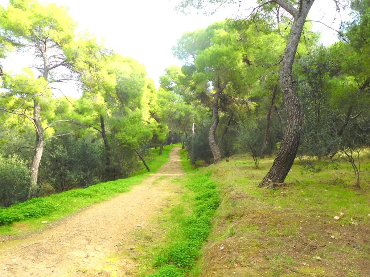 Kavouri Beach House Just 6 Minutes Walk To Kavouri Beach Villa Atene Esterno foto